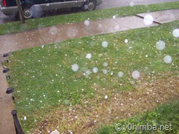 hailstorm_07-26-2008 003